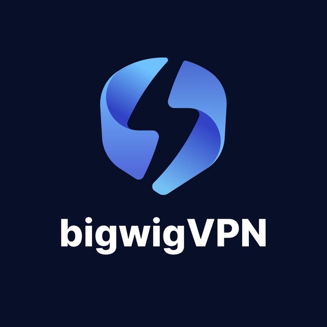 Аватар Bigwig VLESS Reality VPN